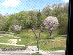 診療台からの風景