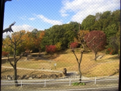 診療台からの風景